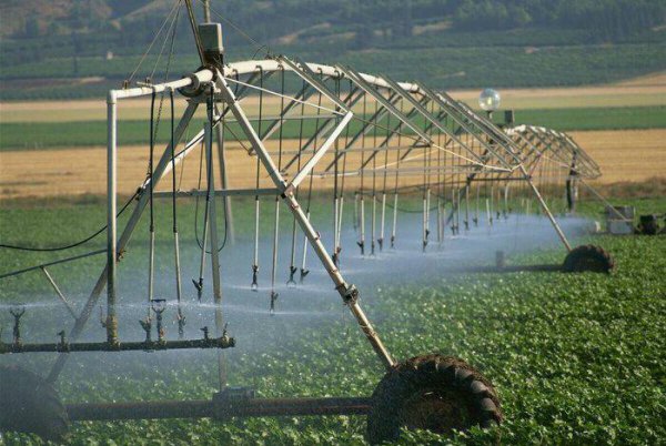 以色列国家简介概况