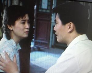 穆斯林的葬礼简介