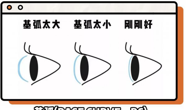 美瞳的基弧是什么意思