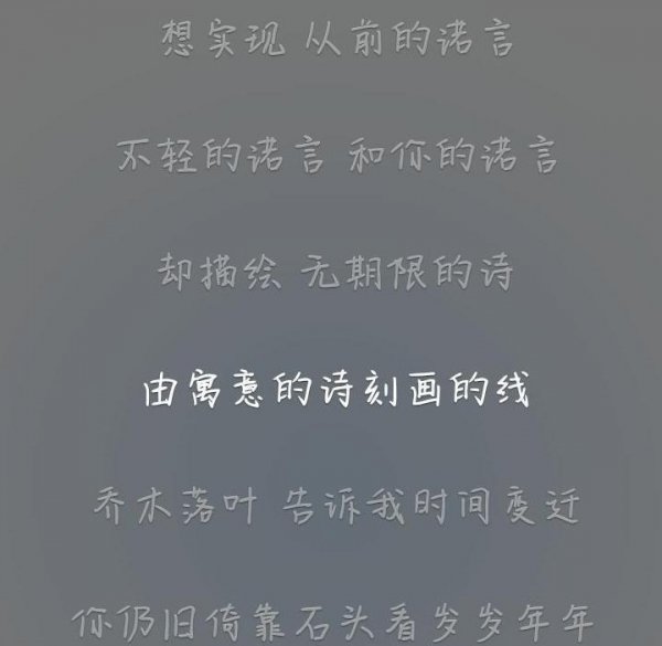 沈以诚个人资料介绍