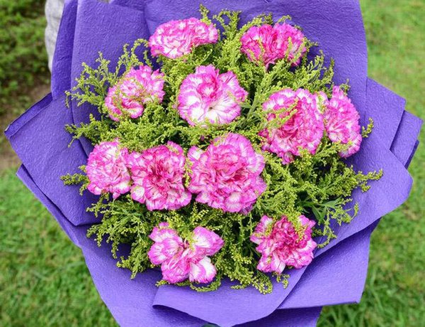 分手后想挽回送什么花