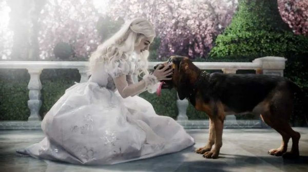 红皇后白皇后什么电影