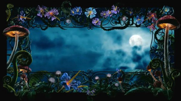 红皇后白皇后什么电影