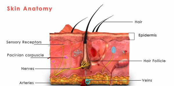 精华水用在哪一个步骤