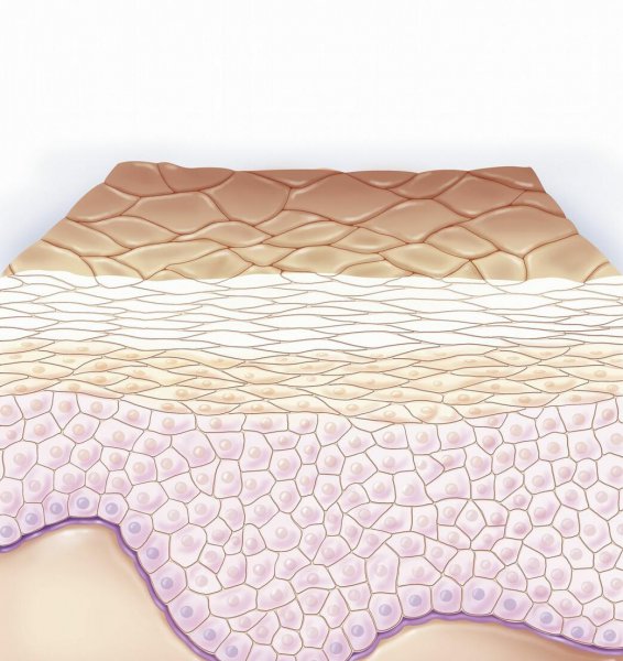 精华水用在哪一个步骤