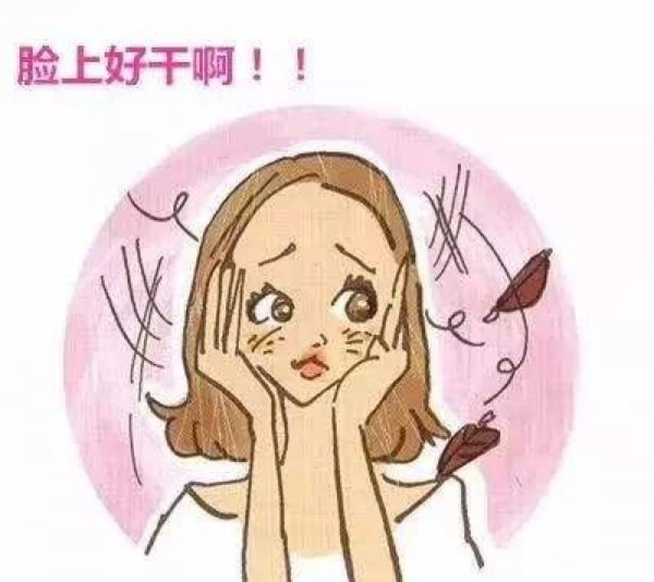 爽肤水是水乳吗