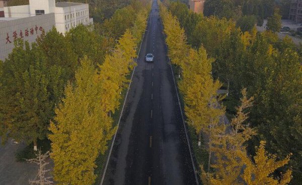 石家庄的大学有哪些学校