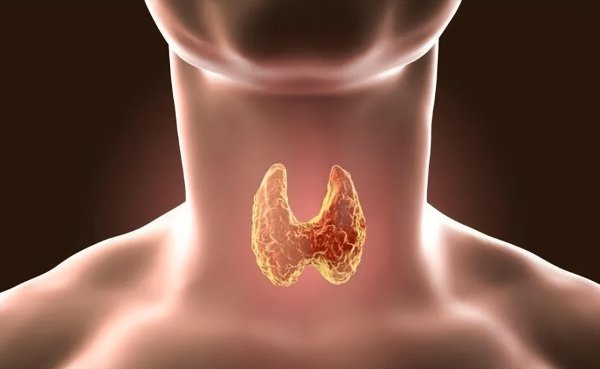 为什么男生的喉结不能摸