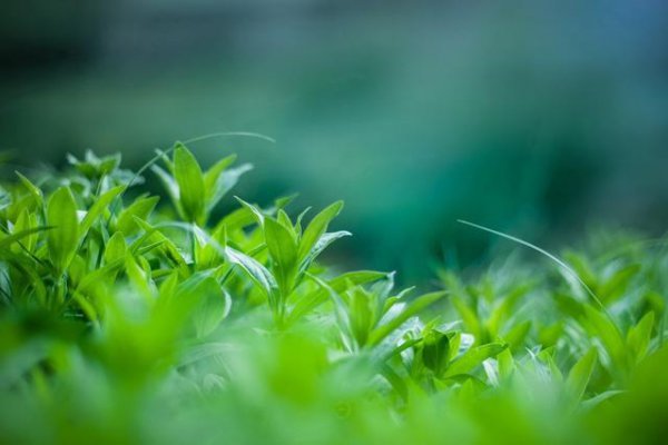 男朋友不说分手也不联系我是什么原因