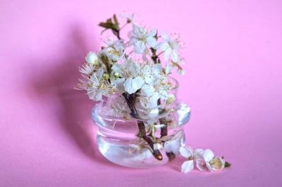 自爱的真正含义该如何理解 人活着为什么要做到自爱