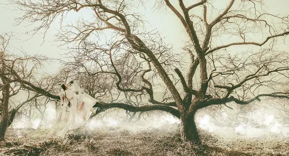 主张神灭论的作者是谁