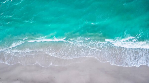 墨西哥娃娃岛有多恐怖