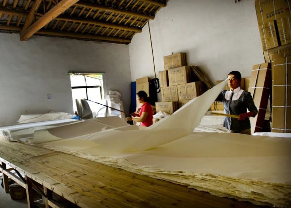 宣纸一刀100张价格