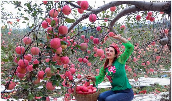 河南特产有哪些土特产