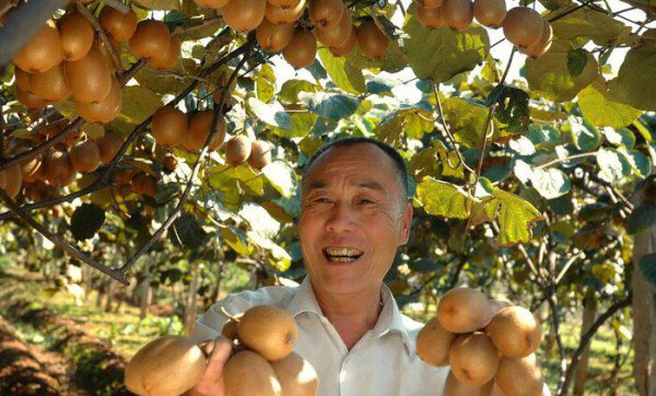 河南特产有哪些土特产