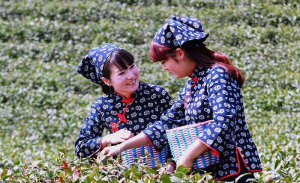 河南特产有哪些土特产