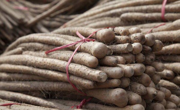 河南特产有哪些土特产