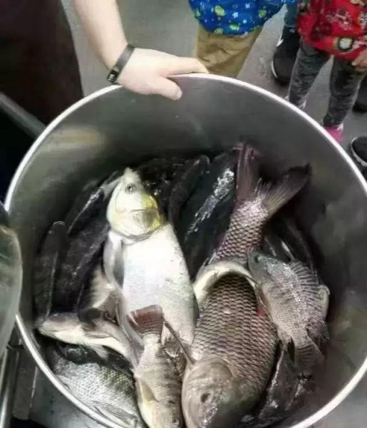 广州有什么大学比较好