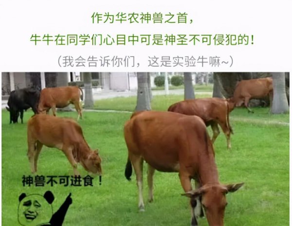 广州有什么大学比较好