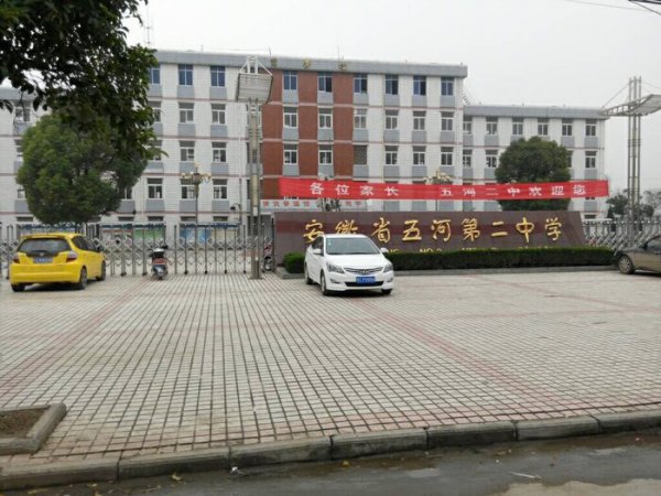 无臂女孩杨莉的断臂原因介绍