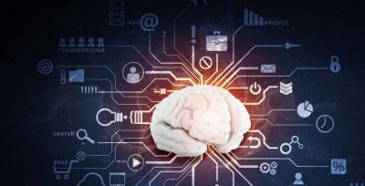 心理学是文科还是理科 为什么说心理学属于理科专业