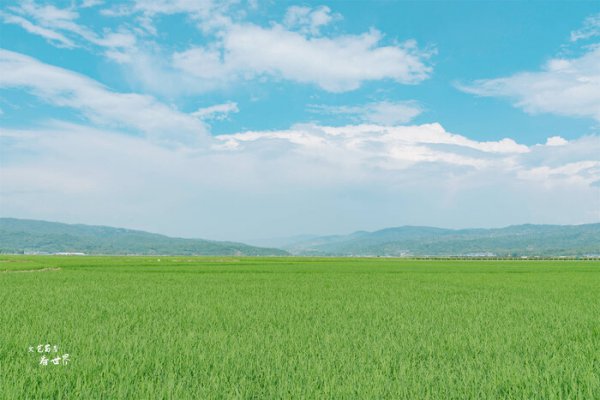 云南最适合养老的城市