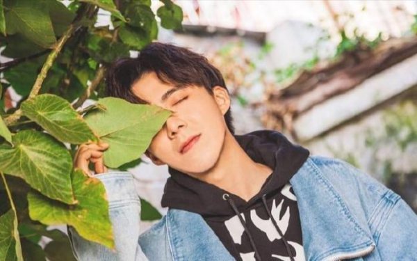 摩登兄弟为什么只火了一个人