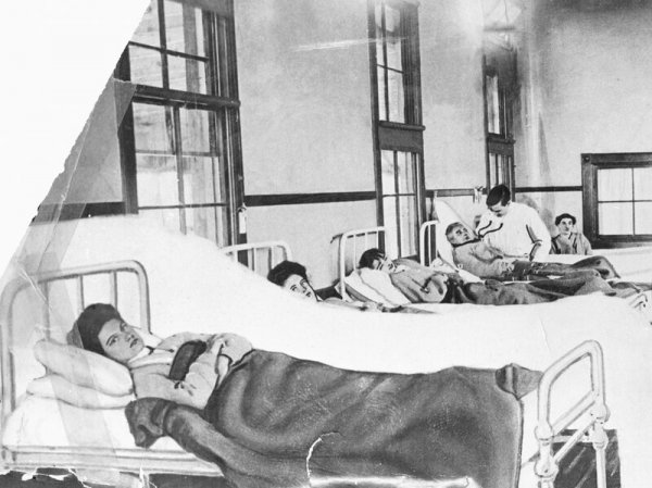 伤寒玛丽的故事