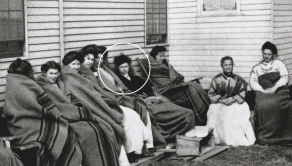 伤寒玛丽的故事