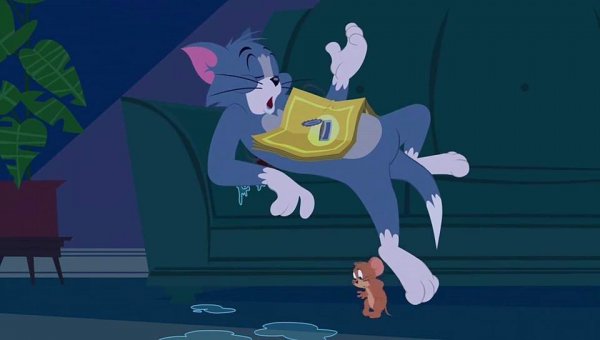 猫和老鼠恐怖事件