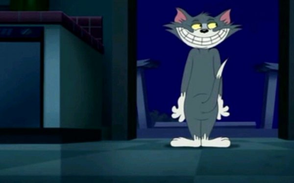 猫和老鼠恐怖事件