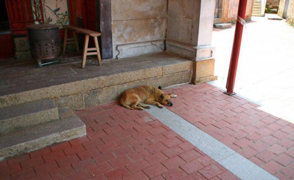 金门岛离大陆最近距离多少公里