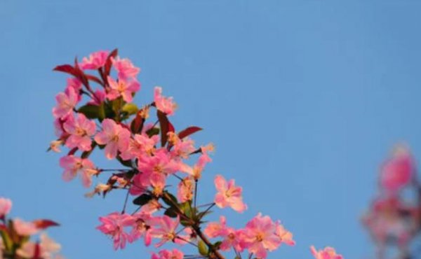 发消息对方一直没回是什么情况