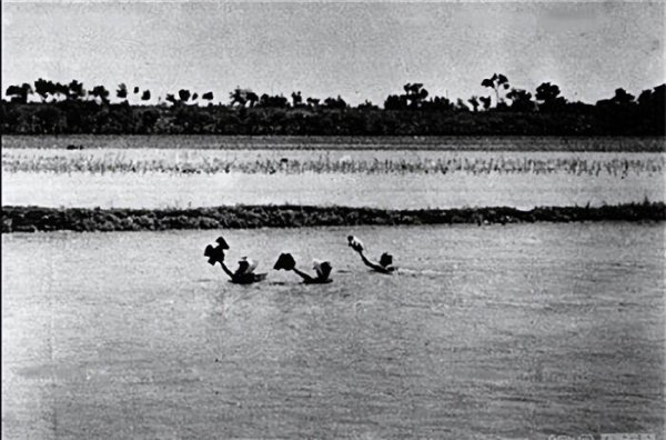 黄河花园口决堤事件的起因和结果