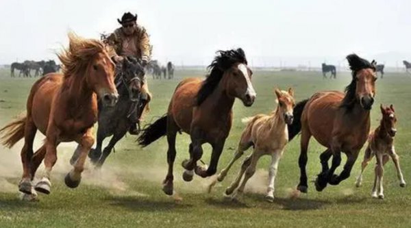 昆仑山之谜有哪些