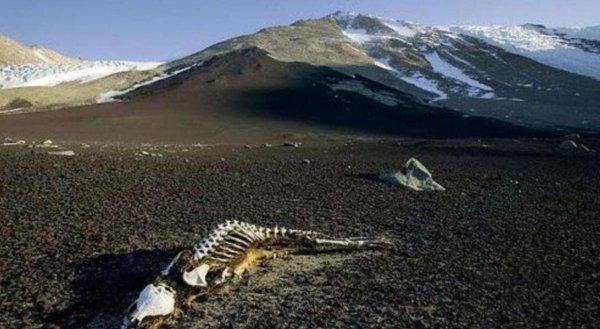 昆仑山之谜有哪些