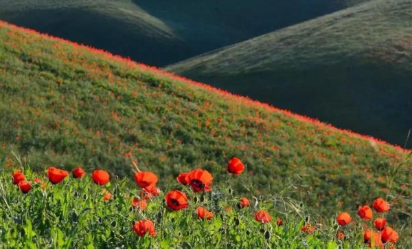 昆仑山之谜有哪些