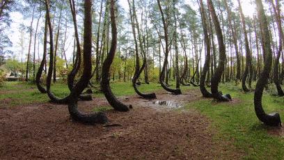 昆仑山之谜有哪些