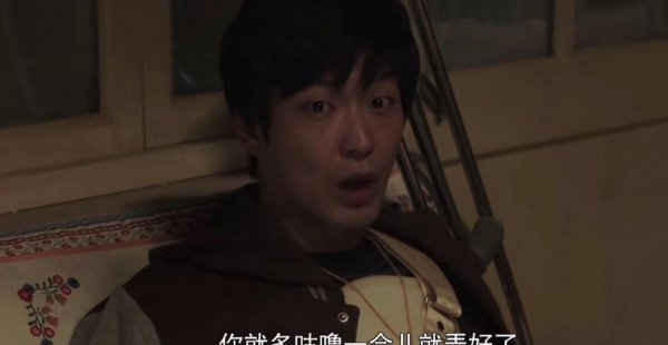 盛开电视剧结局