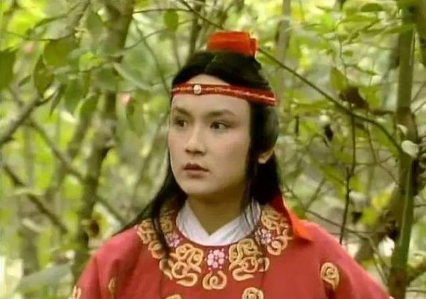 红楼梦中贾宝玉的前世