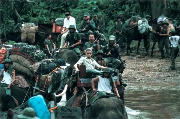 刘德华吃鱼子酱含义