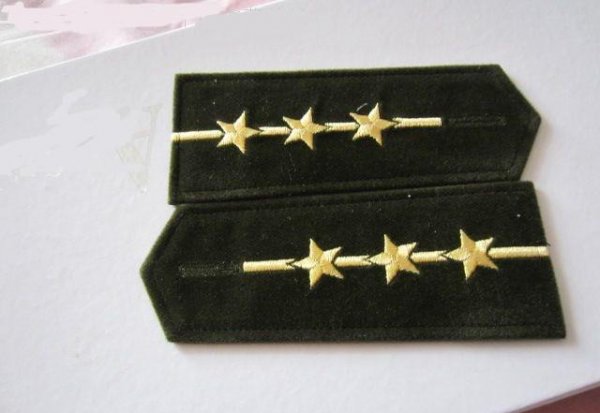 部队指导员是什么级别