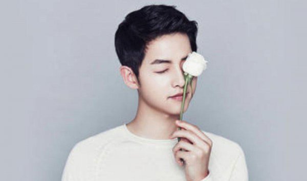 双宋离婚真实原因天涯