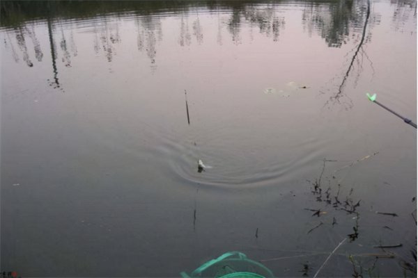 钓鱼走水什么意思