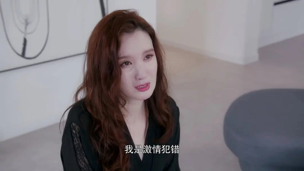 电视剧安家张乘乘结局是什么