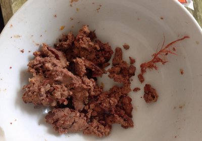 鸡肝能钓什么鱼 哪种鱼类比较喜欢用鸡肝搭配做成的饵料