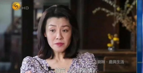 知否大娘子扮演者刘琳简介