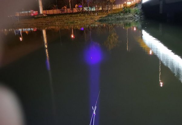 为什么夜钓鲫鱼不开口