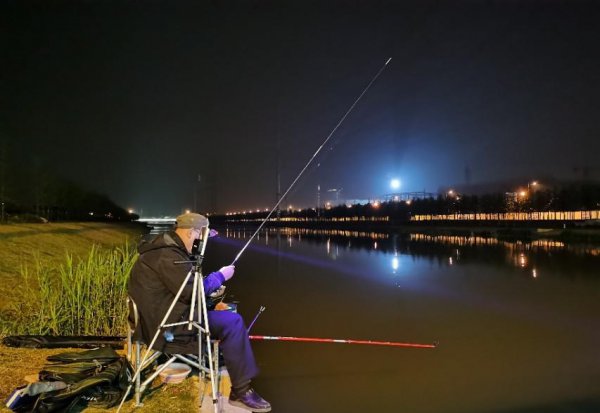 为什么夜钓鲫鱼不开口