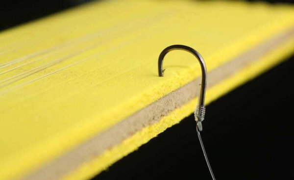 为什么夜钓鲫鱼不开口